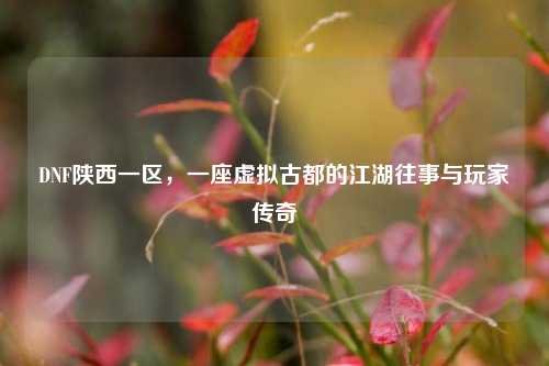 DNF陕西一区，一座虚拟古都的江湖往事与玩家传奇