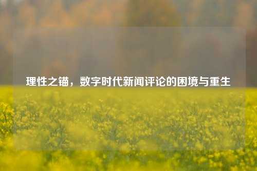 理性之锚，数字时代新闻评论的困境与重生