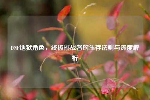 DNF地狱角色，终极挑战者的生存法则与深度解析