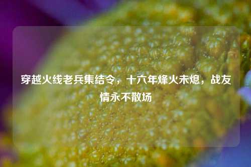 穿越火线老兵集结令，十六年烽火未熄，战友情永不散场