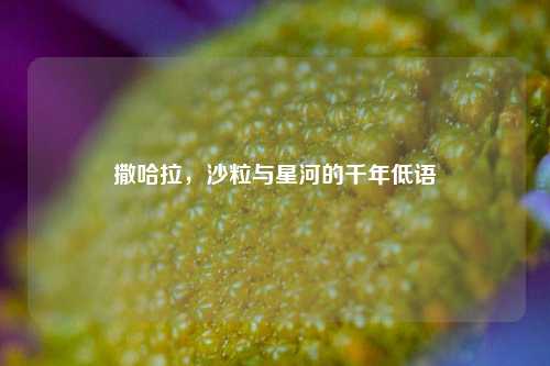 撒哈拉，沙粒与星河的千年低语