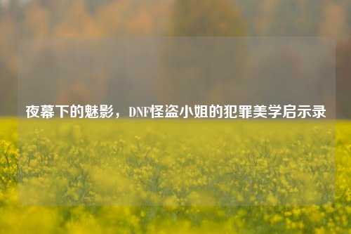 夜幕下的魅影，DNF怪盗小姐的犯罪美学启示录