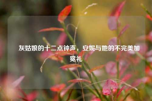 ✨灰姑娘的十二点钟声，安妮与她的不完美加冕礼✨