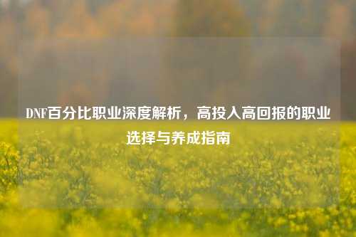 DNF百分比职业深度解析，高投入高回报的职业选择与养成指南