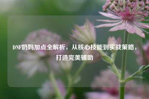 DNF奶妈加点全解析，从核心技能到实战策略，打造完美辅助