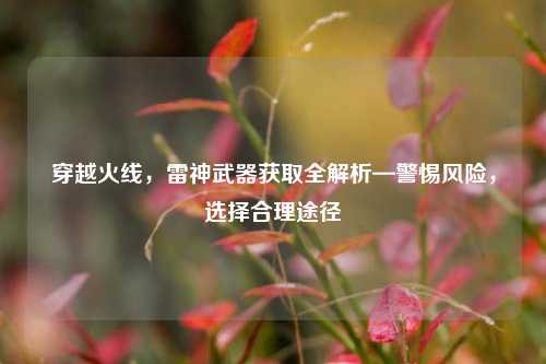 穿越火线，雷神武器获取全解析—警惕风险，选择合理途径