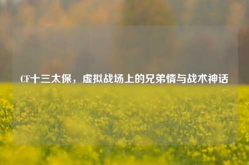 CF十三太保，虚拟战场上的兄弟情与战术神话