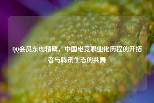 QQ会员东珈精鹰，中国电竞职业化历程的开拓者与腾讯生态的共舞