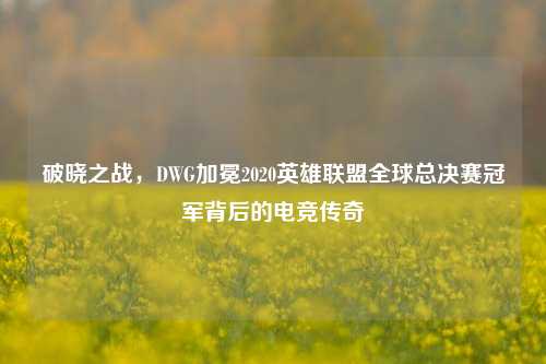 破晓之战，DWG加冕2020英雄联盟全球总决赛冠军背后的电竞传奇