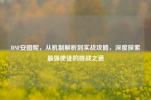 DNF安图妮，从机制解析到实战攻略，深度探索最强使徒的挑战之道