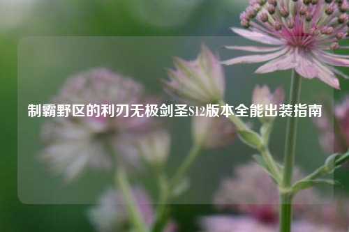 制霸野区的利刃无极剑圣S12版本全能出装指南