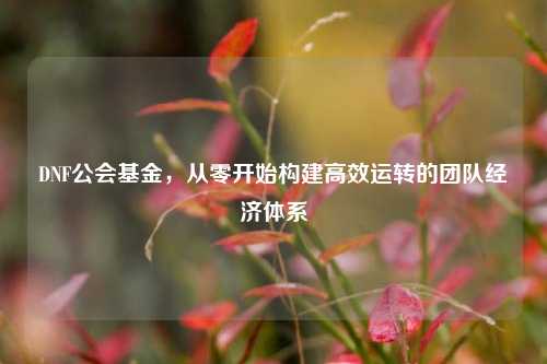 DNF公会基金，从零开始构建高效运转的团队经济体系