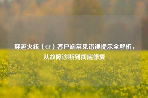 穿越火线（CF）客户端常见错误提示全解析，从故障诊断到彻底修复