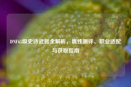 DNF65级史诗武器全解析，属性测评、职业适配与获取指南