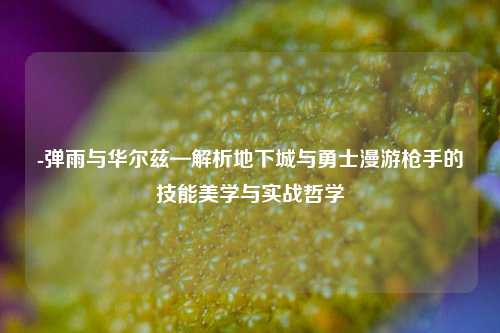 -弹雨与华尔兹—解析地下城与勇士漫游枪手的技能美学与实战哲学