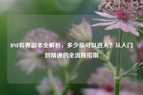 DNF异界副本全解析，多少级可以进入？从入门到精通的全流程指南