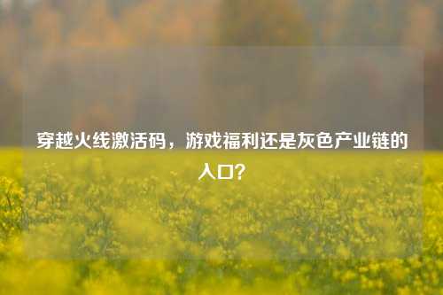 穿越火线激活码，游戏福利还是灰色产业链的入口？