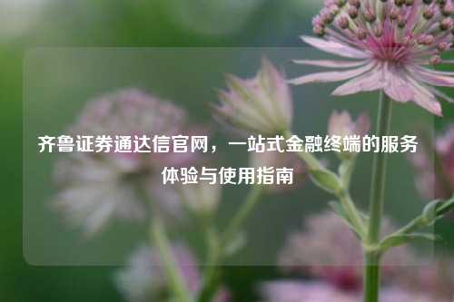 齐鲁证券通达信官网，一站式金融终端的服务体验与使用指南