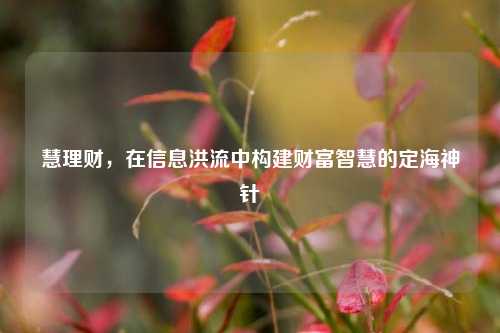 慧理财，在信息洪流中构建财富智慧的定海神针