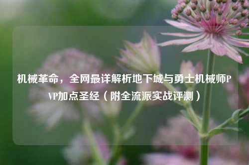 机械革命，全网最详解析地下城与勇士机械师PVP加点圣经（附全流派实战评测）