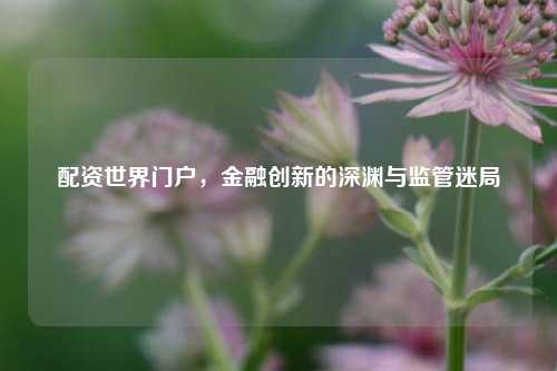 配资世界门户，金融创新的深渊与监管迷局