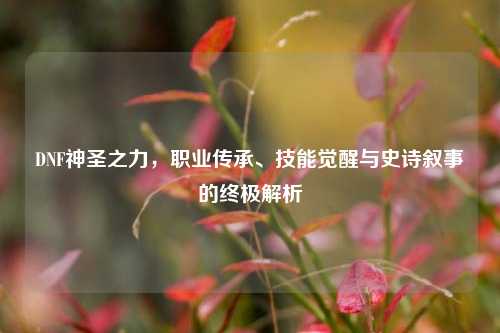 DNF神圣之力，职业传承、技能觉醒与史诗叙事的终极解析
