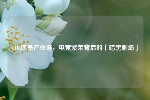 LOL演员产业链，电竞繁荣背后的「暗黑剧场」