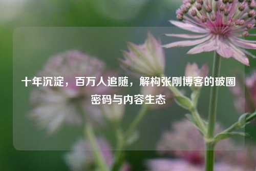 十年沉淀，百万人追随，解构张刚博客的破圈密码与内容生态