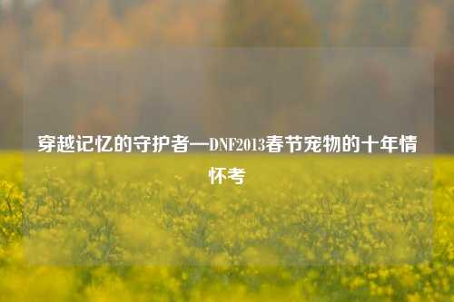 穿越记忆的守护者—DNF2013春节宠物的十年情怀考