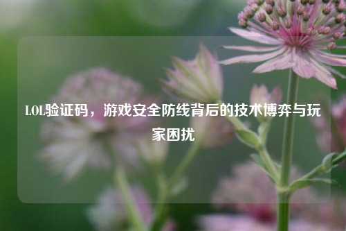 LOL验证码，游戏安全防线背后的技术博弈与玩家困扰