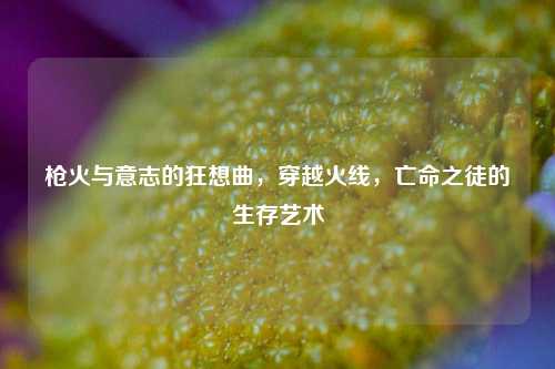 枪火与意志的狂想曲，穿越火线，亡命之徒的生存艺术