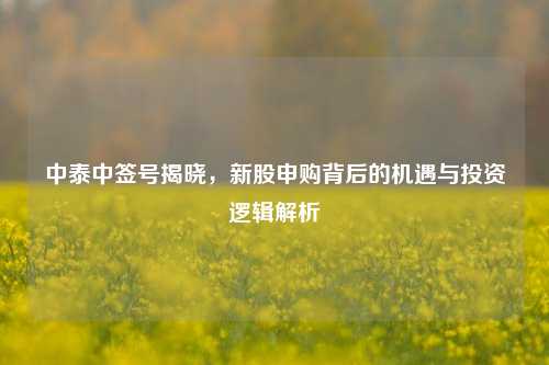 中泰中签号揭晓，新股申购背后的机遇与投资逻辑解析