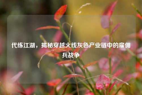 代练江湖，揭秘穿越火线灰色产业链中的雇佣兵战争
