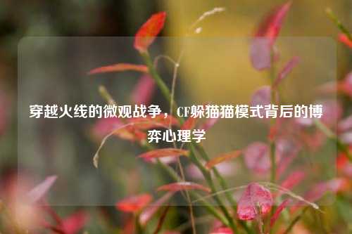 穿越火线的微观战争，CF躲猫猫模式背后的博弈心理学