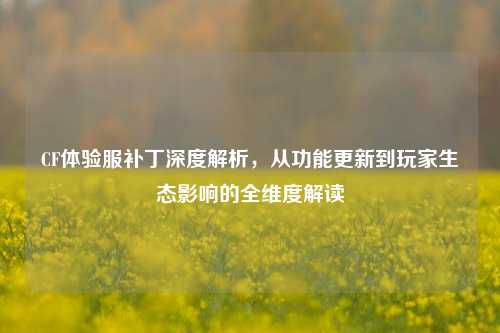 CF体验服补丁深度解析，从功能更新到玩家生态影响的全维度解读