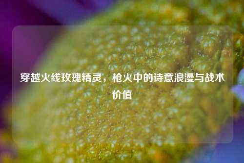 穿越火线玫瑰精灵，枪火中的诗意浪漫与战术价值