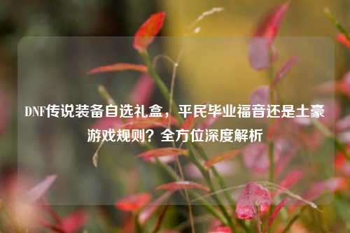 DNF传说装备自选礼盒，平民毕业福音还是土豪游戏规则？全方位深度解析