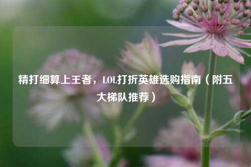 精打细算上王者，LOL打折英雄选购指南（附五大梯队推荐）