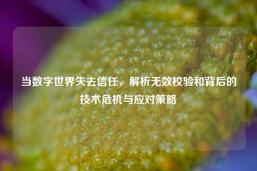 当数字世界失去信任，解析无效校验和背后的技术危机与应对策略