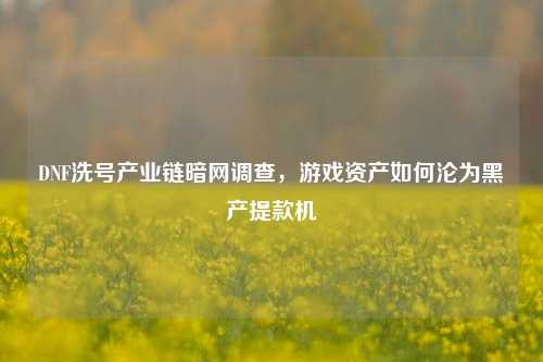 DNF洗号产业链暗网调查，游戏资产如何沦为黑产提款机