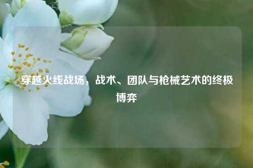 穿越火线战场，战术、团队与枪械艺术的终极博弈