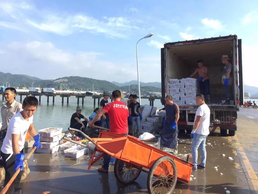 运输船跳箱子(PDD和白鲨CF单挑)